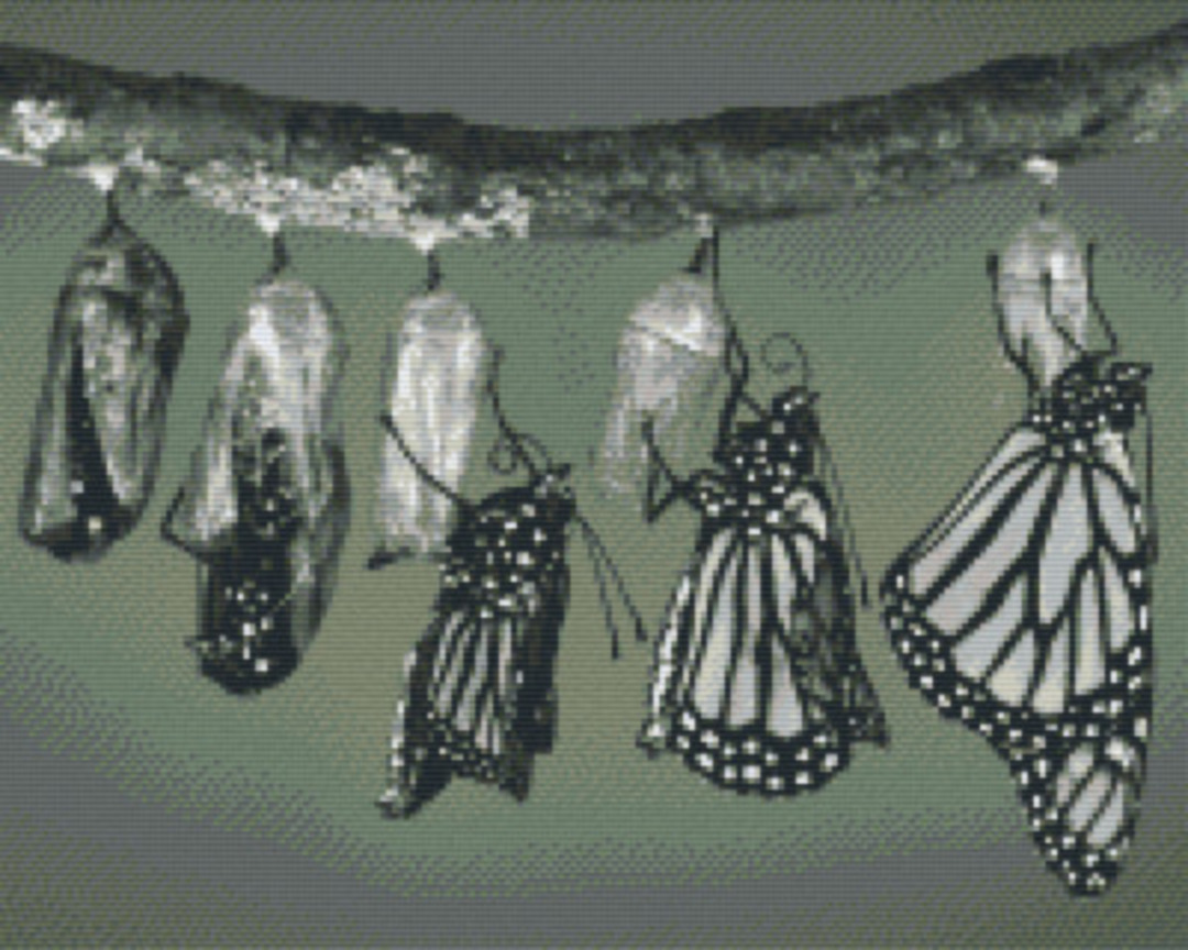 Black And White Butterflies Sixteen [16] Baseplate PixelHobby MIni-mosaic Art Kit image 0